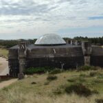 Potovanje z profesorjem