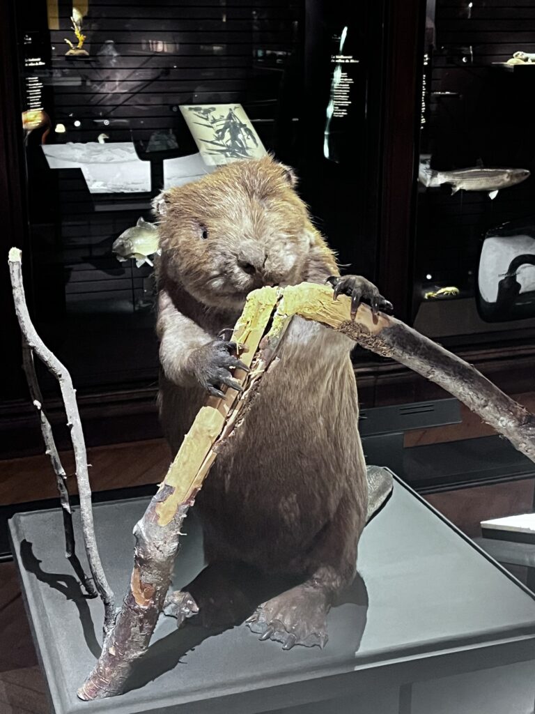 They walked among us