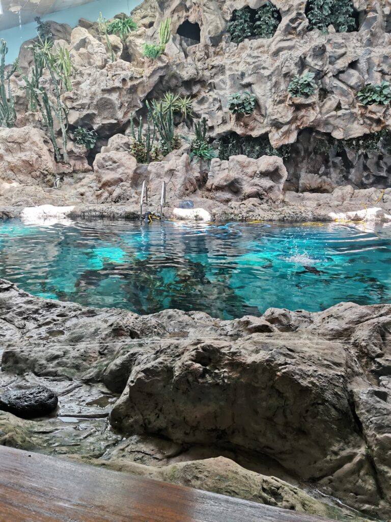 Spliš, splaš, Loro park!